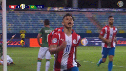 a group of soccer players are celebrating a goal on the field .