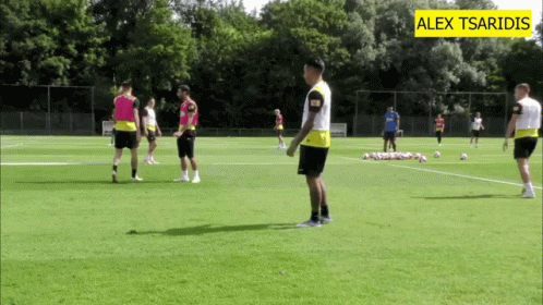 A Group Of Soccer Players Are On A Field With The Name Alex Tsaridis On The Bottom GIF