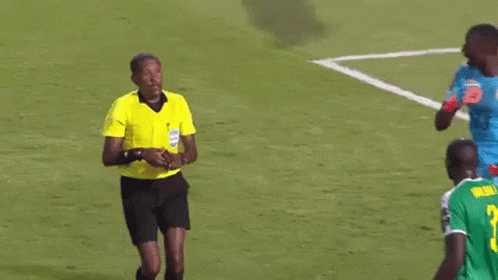 A Group Of Soccer Players Are Standing On A Soccer Field . GIF