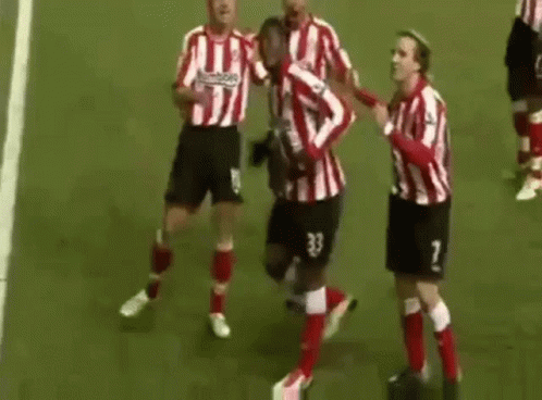 a group of soccer players are standing on top of a soccer field celebrating a goal .