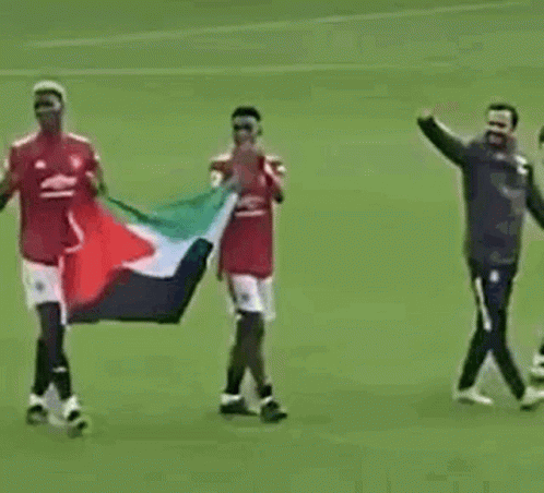 A Group Of Soccer Players Are Walking On A Field Holding A Flag . GIF
