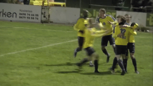 A Group Of Soccer Players On A Field With A Sign That Says Guy Van GIF