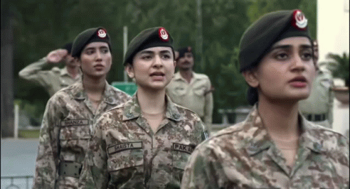 Soldiers Standing In Line Saluting GIF