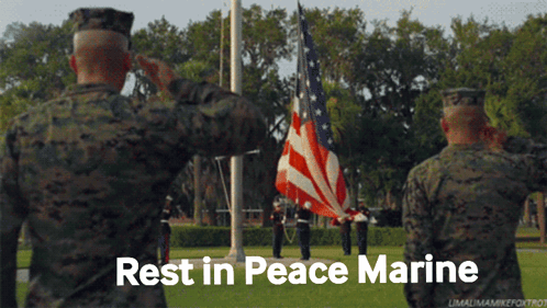 A Group Of Soldiers Saluting A Flag With The Words Rest In Peace Marine Written Below Them GIF