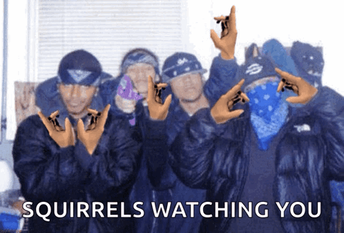 A Group Of Squirrels Watching You With Their Hands Up GIF