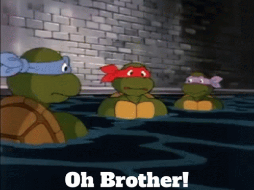 A Group Of Teenage Mutant Ninja Turtles Are Swimming In The Water With The Caption Oh Brother GIF