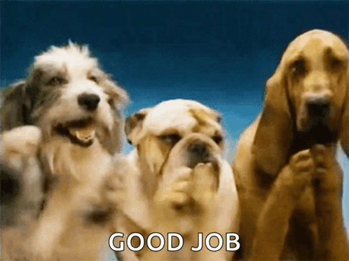 A Group Of Three Dogs Standing Next To Each Other With The Words Good Job Written On The Bottom GIF