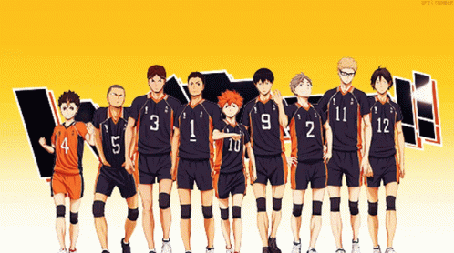 A Group Of Volleyball Players Are Standing In A Row With Numbers 1 Through 12 On Their Jerseys GIF