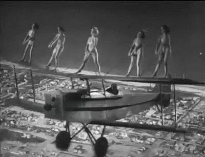 A Group Of Women In Bikinis Are Walking On Top Of A Plane . GIF