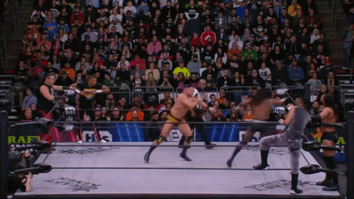 a group of wrestlers are fighting in a ring with the word raft on the side