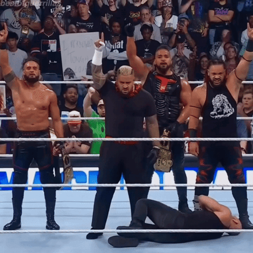 A Group Of Wrestlers Are Standing In A Ring With A Sign That Says " I 'M Sorry Tonight " GIF