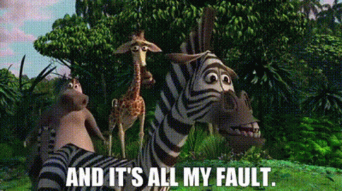 A Group Of Zebras Standing Next To Each Other With The Words And It 'S All My Fault GIF