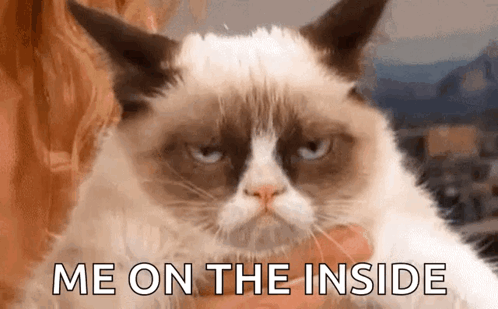 Grumpy Cat Being Held Says Me On The Inside GIF