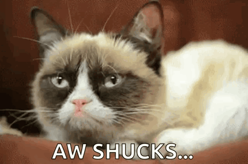A Grumpy Cat Is Laying Down With The Words Aw Shucks Written Below It GIF