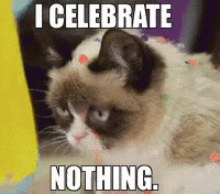 A Grumpy Cat Laying On The Floor With A Caption That Says I Celebrate Nothing GIF