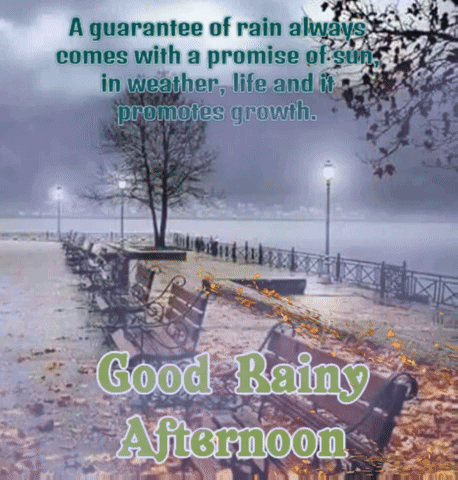 A Guarantee Of Rain Always Comes With A Promise Of Sun In Weather , Life And It Promotes Growth . GIF