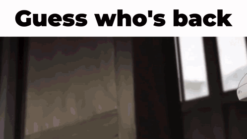 A Guess Who 'S Back Meme With A Blurred Image Of A Person GIF