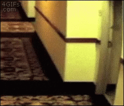 A Hallway With A 4Gifs.com Logo In The Corner GIF