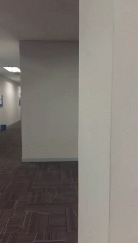 a hallway with a carpeted floor and a white wall