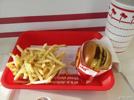 A Hamburger And French Fries On A Tray That Says It 'S A Delicious Without Delight GIF