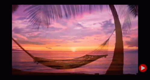 A Hammock Is Hanging From A Palm Tree On The Beach At Sunset GIF
