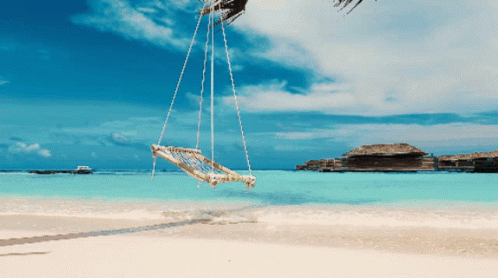 A Hammock Swing Hangs From A Palm Tree Over A Beach GIF