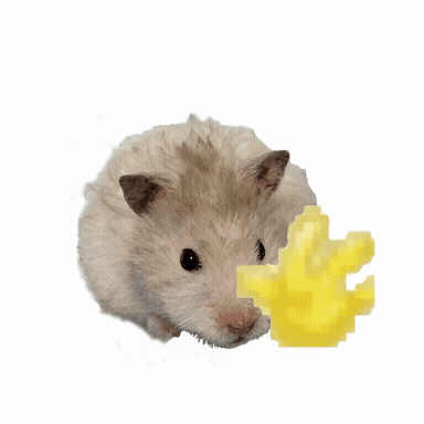 A Hamster Holding A Piece Of Cheese With The Words Hello Written Above It GIF