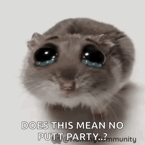 A Hamster Is Crying With Tears Coming Out Of Its Eyes And The Words `` Does This Mean No Putt Party ? '' GIF