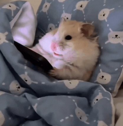A Hamster Is Laying Under A Blue Blanket With White Cats On It GIF