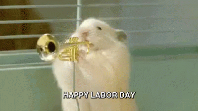 a hamster is playing a trumpet in a cage and says `` happy labor day '' .