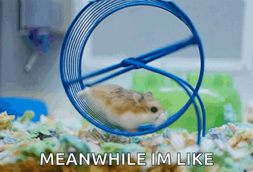 A Hamster Is Running In A Blue Hamster Wheel With The Words Meanwhile Im Like Below It GIF