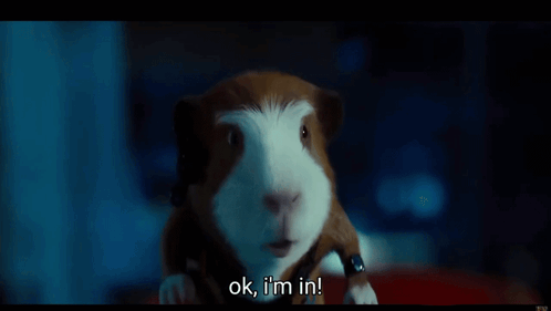 A Hamster Says Ok I 'M In In A Movie Scene GIF