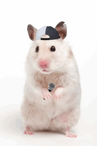 a hamster wearing a hat holds a microphone