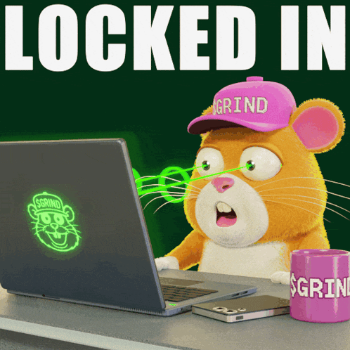 A Hamster Wearing A Pink Grind Hat Is Using A Laptop GIF