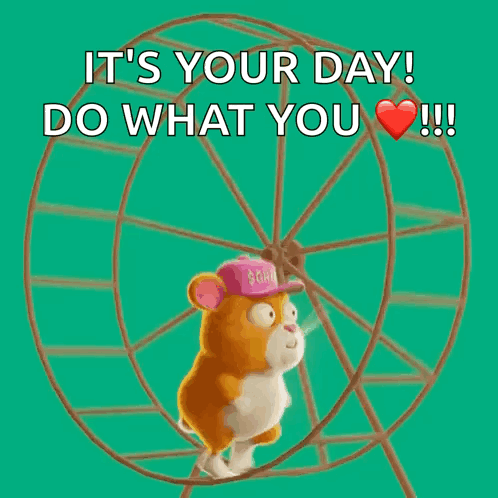 a hamster wearing a pink hat is running on a ferris wheel and says it 's your day