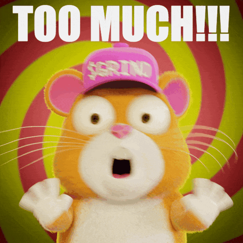 A Hamster Wearing A Pink Hat That Says " Too Much " On It GIF