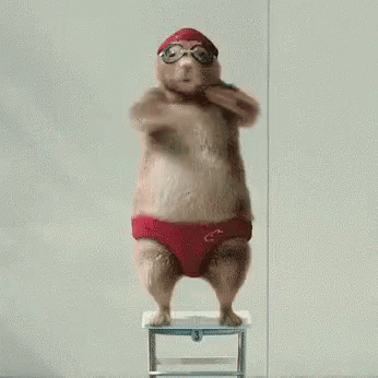 A Hamster Wearing A Red Swim Cap And Goggles Is Standing On A Stool . GIF