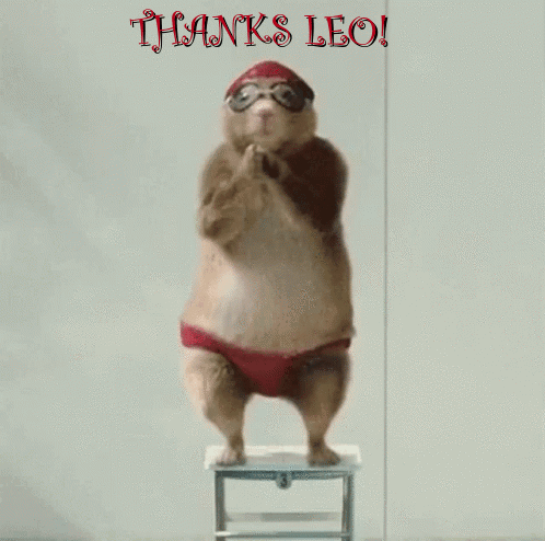 A Hamster Wearing A Swim Cap And Goggles Stands On A Stool With The Words Thanks Leo Above It GIF