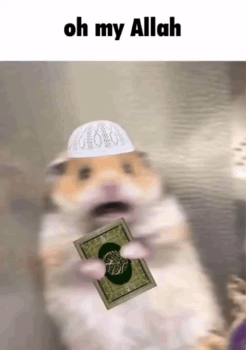 A Hamster Wearing A White Hat And Holding A Book With The Words Oh My Allah Above It GIF