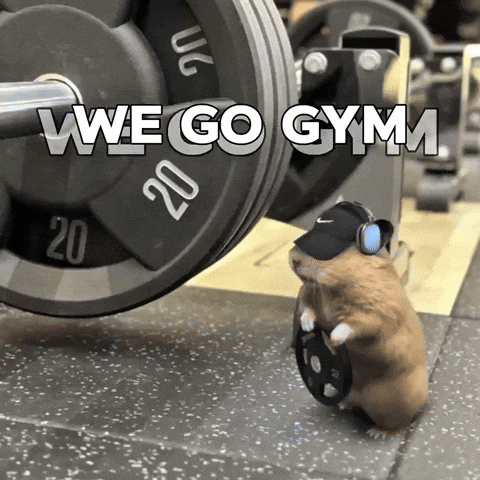 A Hamster Wearing Headphones Holds A Weight Plate In Front Of A Barbell With The Words We Go Gym On It GIF