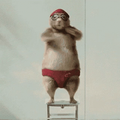 A Hamster Wearing Red Swim Trunks And A Swim Cap Is Jumping Off A Stool GIF