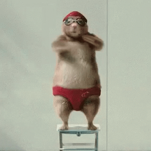 A Hamster Wearing Red Swim Trunks And Goggles Is Jumping Off A Stool . GIF