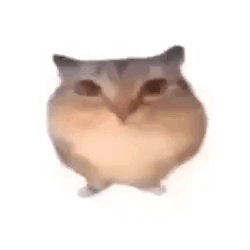 A Hamster With A Heart Shaped Face Is Standing On Its Hind Legs . GIF