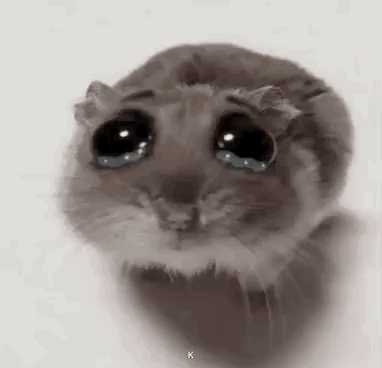 A Hamster With Tears In Its Eyes Is Looking At The Camera . GIF