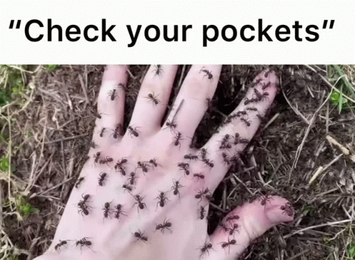 A Hand Covered In Ants With The Words " Check Your Pockets " GIF
