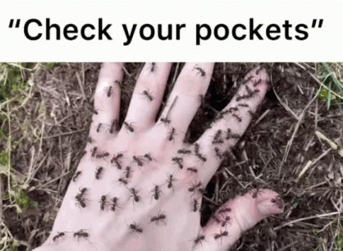 A Hand Covered In Ants With The Words " Check Your Pockets " GIF