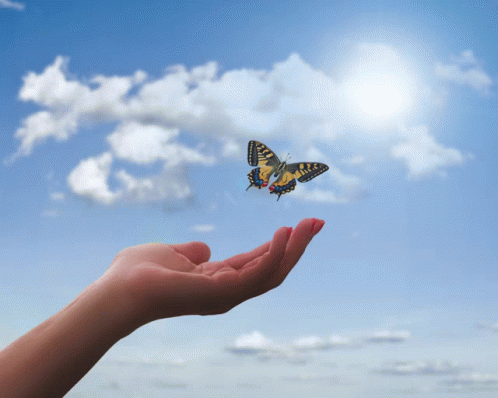 A Hand Holding A Butterfly In The Sky With Clouds GIF