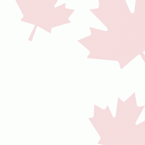 A Hand Is Holding A Canadian Flag In Front Of A Maple Leaf And The Words Best Imm W GIF