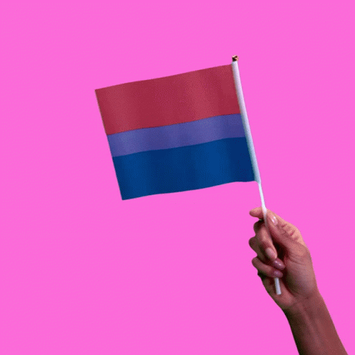 A Hand Is Holding A Small Red And Blue Flag GIF
