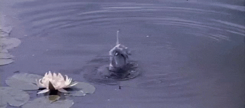 A Hand Is Sticking Out Of The Water Next To A Lotus Flower GIF